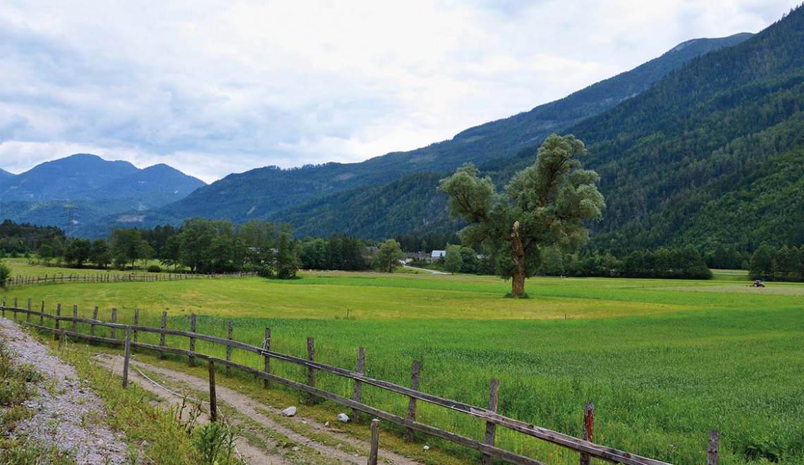 Enjoy-Osttirol: Drauradweg