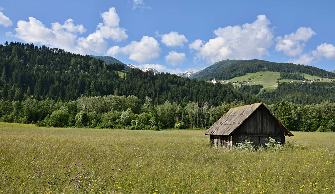 Der Naturschaupfad Tassenbach: Kinder brauchen Natur!