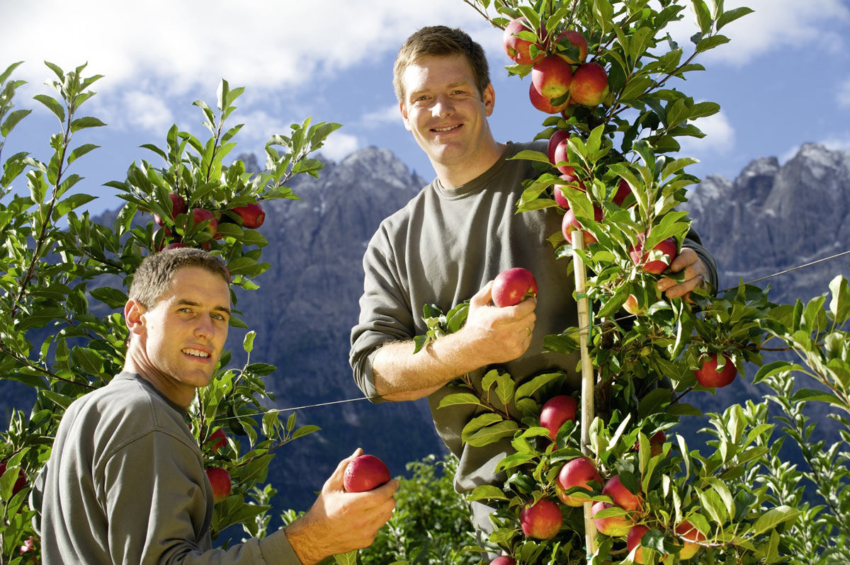 Enjoy-osttirol: Naturbrennerei Kuenz