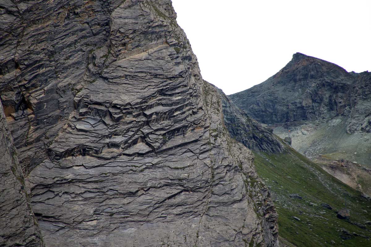 Enjoy-osttirol: Wildtierbeobachtung