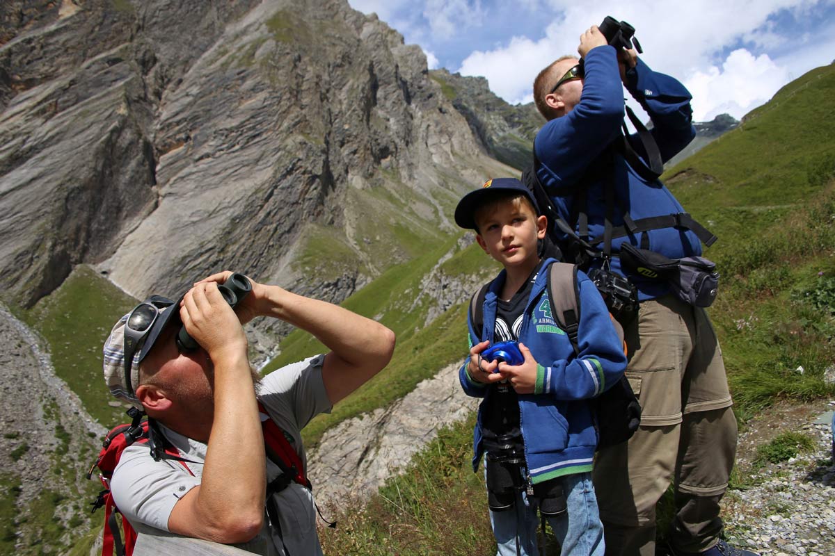 Enjoy-osttirol: Wildtierbeobachtung