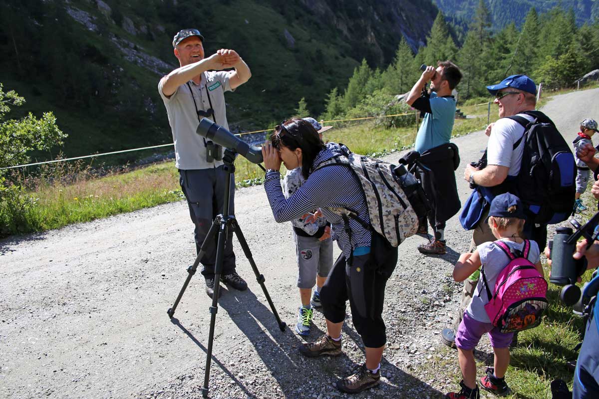 Enjoy-osttirol: Wildtierbeobachtung