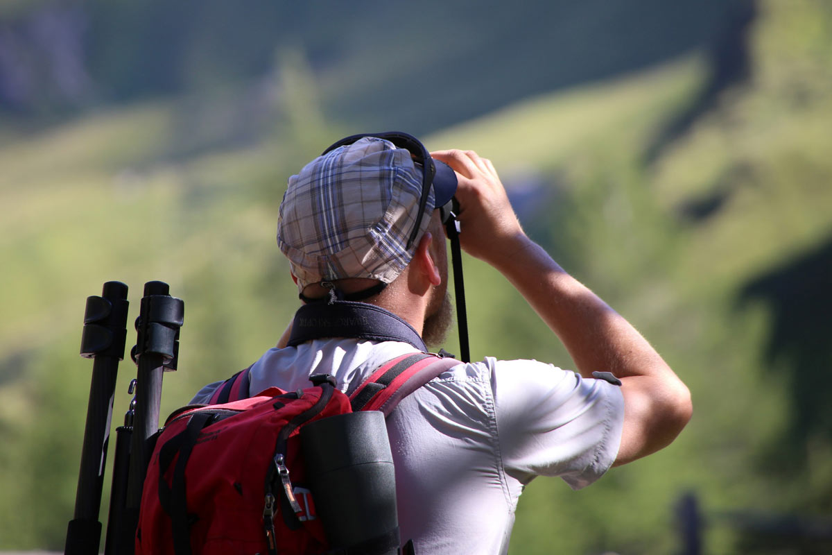 Enjoy-osttirol: Wildtierbeobachtung