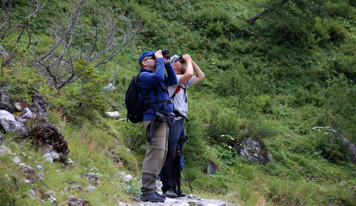 Enjoy-osttirol: Wildtierbeobachtung