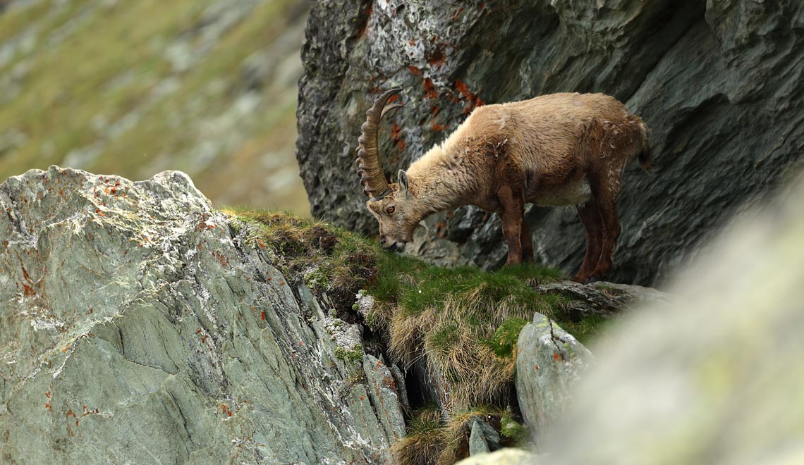 Enjoy-osttirol: Hohe Tauern