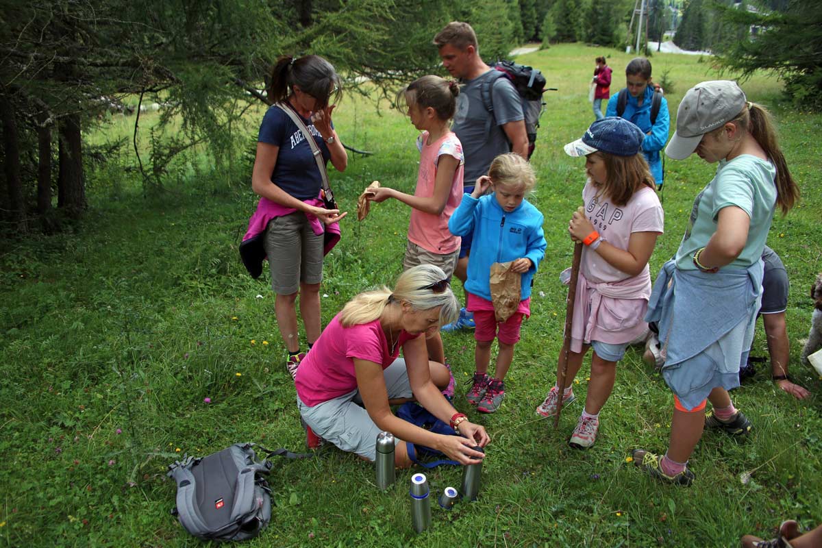 Enjoy-osttirol: Kräuterwanderung