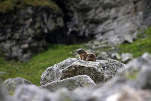 enjoy-osttirol: Dorfertal