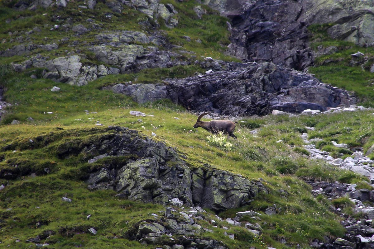 enjoy-osttirol: Dorfertal