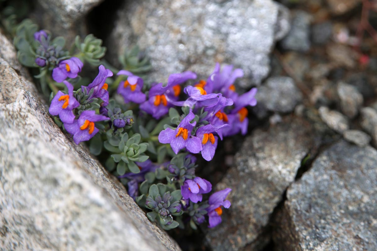 enjoy-osttirol: Dorfertal